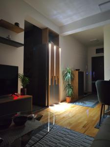 a room with a living room with a living room at Marinkovic stan na dan in Vranje