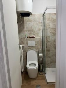 a small bathroom with a toilet and a shower at La Casa di Giorgia in Sestriere