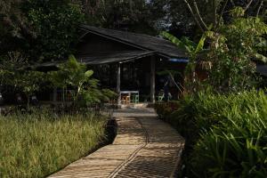 a walkway leading to a building in a forest at Art House at Chiangdao - Lake House in Chiang Dao