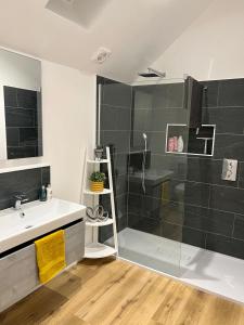 a bathroom with a sink and a shower at Apple Tree Apartment in Hensol