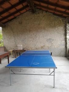 uma mesa de pingue-pongue azul num quarto em C'era una volta a Piozzano Casa Rustica em Piozzano