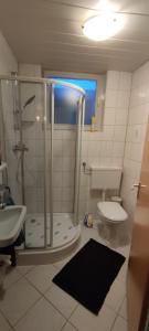 a bathroom with a shower and a toilet and a sink at HarzLiebe in Herzberg am Harz