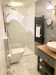 a bathroom with a shower and a toilet and a sink at Le Chapeau Rouge in Lusignan +78 photos