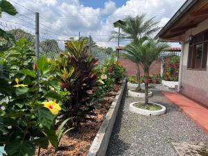 einen Garten mit Palmen und anderen Pflanzen in der Unterkunft Hosteria Shell in Shell