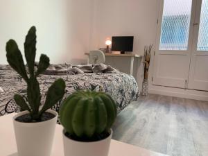 sypialnia z łóżkiem i stołem z kaktusem w obiekcie CoLiving El Toro w mieście Las Palmas de Gran Canaria