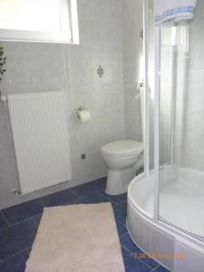 La salle de bains est pourvue de toilettes, d'une douche et d'un lavabo. dans l'établissement Ferienwohnung Christine, à Heckendalheim