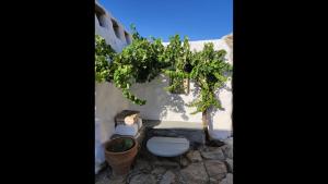 baño con aseo y árbol en Room in Studio - Artemis Studio Pyrgi en Platis Yialos Mykonos