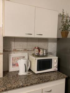 a kitchen counter with a microwave and a mortar and pestle at SUNSET in General Roca