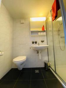 a bathroom with a toilet and a sink and a shower at Family Home - 3 Bedroom - 30 in Wilderswil