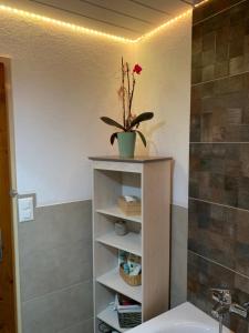 een badkamer met een plant op een plank naast een wastafel bij Casa Restelli OG - nahe Andermatt Gotthard in Gurtnellen +37 foto's