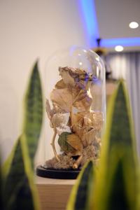 Fotografia z galérie ubytovania Golden Rose v Solúne