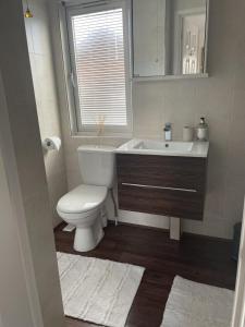 a bathroom with a toilet and a sink and a mirror at Ribble Valley Lodge Retreat in Gisburn