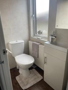 a bathroom with a toilet and a sink and a window at Ribble Valley Lodge Retreat in Gisburn