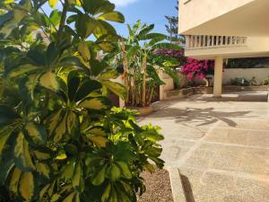 A garden outside ES GANXO HOUSE PORTO CRISTO