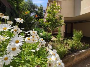 A garden outside ES GANXO HOUSE PORTO CRISTO