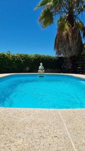 uma grande piscina azul com uma palmeira em Departamento de huéspedes con piscina y parrilla, Tranquilo y Céntrico em Colônia do Sacramento