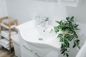 Uma casa de banho em Apartman Elle