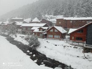 冬天的Cabaña de madera Valle de Incles Orenetes