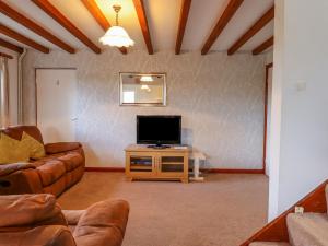 a living room with a couch and a television at Acorn Cottage in Newton Abbot