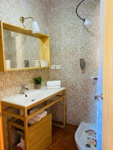 a bathroom with a sink and a mirror and a toilet at Casa Alma in Almería