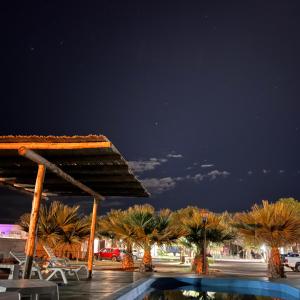 a group of palm trees in a parking lot at night at Hotel Valle Colorado in Villa Unión