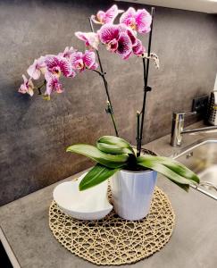 a white vase with pink flowers on a counter at Appartements Falkner in Roppen