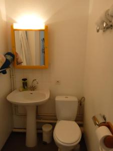 La salle de bains est pourvue de toilettes, d'un lavabo et d'un miroir. dans l'établissement BELLEVUE, à Quetigny