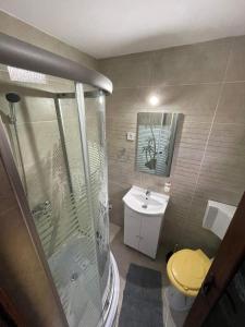 a bathroom with a shower and a toilet and a sink at Cabana Acasă la Delia in Gîrda de Sus