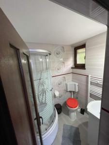 a bathroom with a shower and a toilet with a red seat at Cabana Acasă la Delia in Gîrda de Sus