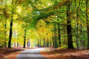 Afbeelding uit fotogalerij van Veluwe Hotel Stakenberg in Elspeet