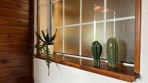 un rebord de fenêtre avec deux cactus et deux plantes dans l'établissement La Bruixa Rural, à Dosríus