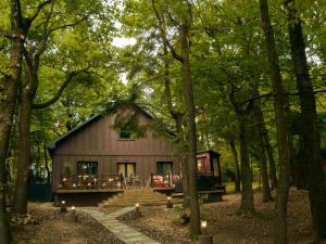 eine Hütte mitten im Wald in der Unterkunft Spirit of the Earth Cottage Dobogókő in Pilisszentkereszt