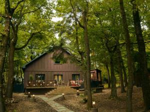 a cabin in the middle of a forest at Spirit of the Earth Cottage Dobogókő in Pilisszentkereszt