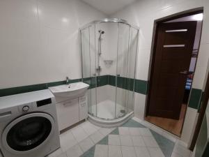a bathroom with a shower and a washing machine at Apartmán v Krušných horách-free parking in Jáchymov +23 photos