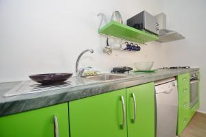 een keuken met groene kasten en een wastafel bij Villa Kata in Sičane