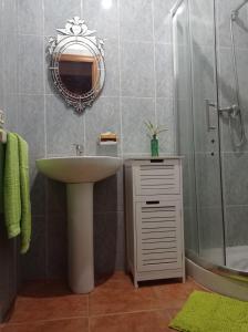 a bathroom with a sink and a shower and a mirror at Casa Rural El Turuterro in Cepeda