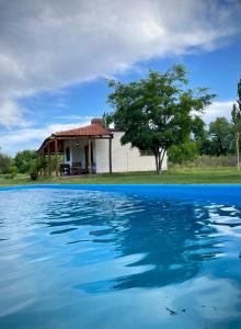 una casa con un árbol y una piscina de agua en CABAÑAS LA PILARICA en San Rafael