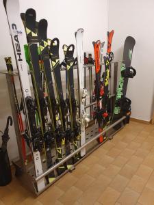 een aantal ski's staan opgesteld in een rek bij Boutique Hotel Alpenhof in Sankt Martin am Tennengebirge