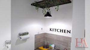 eine Küche mit einem Waschbecken im Zimmer in der Unterkunft Hospedaje Aldana - Posada SOL en zona natural in Tuxpan de Rodríguez Cano