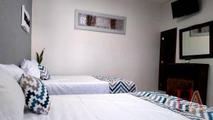 ein Hotelzimmer mit 2 Betten und einem Flachbild-TV in der Unterkunft Hospedaje Aldana - Posada SOL en zona natural in Tuxpan de Rodríguez Cano