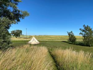 ein Zelt inmitten eines Feldes mit hohem Gras in der Unterkunft Gårdshotellets Camping in Ystad