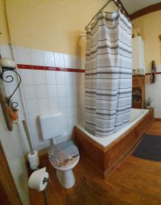 a bathroom with a toilet and a tub with a shower curtain at Ahoi Husum, anlegen und wohlfühlen in Husum