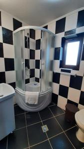 a bathroom with a shower and a toilet at Casa Aly Bușteni- Casa la cheie in Buşteni +19 photos