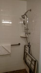 a bathroom with a shower with a shower head at Old Town Inn in San Diego
