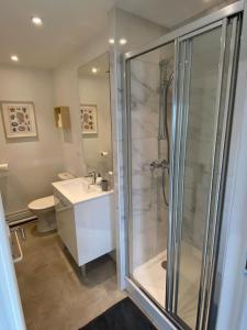 een badkamer met een douche, een toilet en een wastafel bij Chez Mathilde Studio Calais Nord Citadelle in Calais