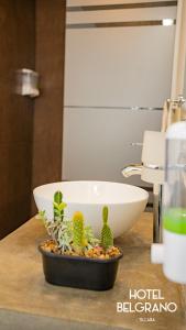 a counter with a bowl and a cactus on it at Hotel Belgrano in Tilcara