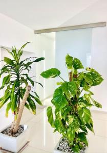 Kép Loft Terracina szállásáról Terracinában a galériában