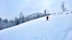 Obiekt Resort Hanni Deisenberger zimą