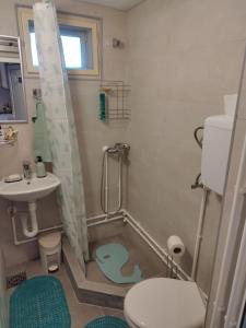 a bathroom with a shower and a toilet and a sink at Garičkina kuća in Pirot