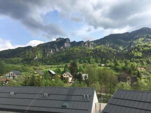 a view of a valley with mountains in the background at U plechového Jánošíka in Terchová